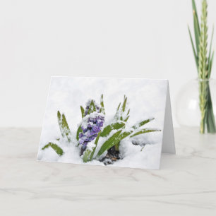 Carte Hyacinthe pourpre dans la neige Encouragement