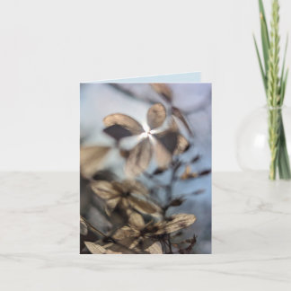 Carte Hydrangea Abstrait