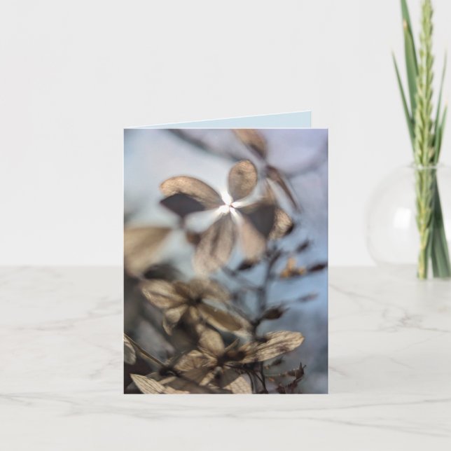 Carte Hydrangea Abstrait (Devant)