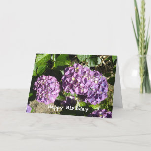 Carte Hydrangea Birthday Greeting