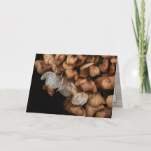 Hydrangea défraîchi