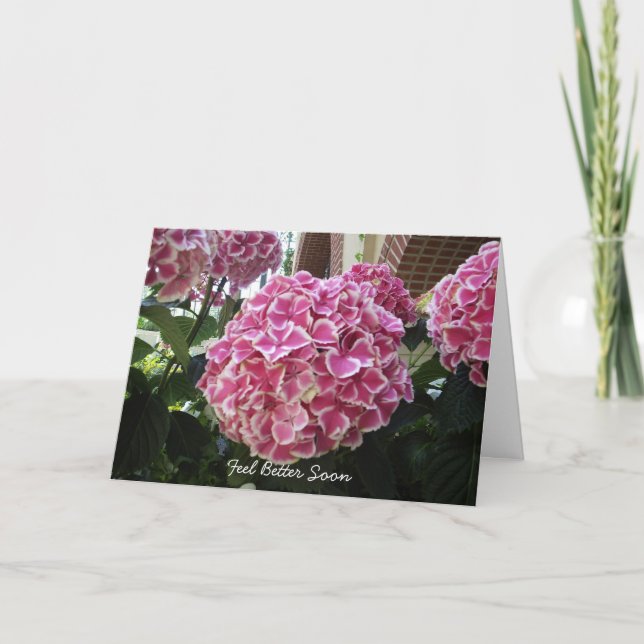 Carte Hydrangea Get Well Card (Devant)