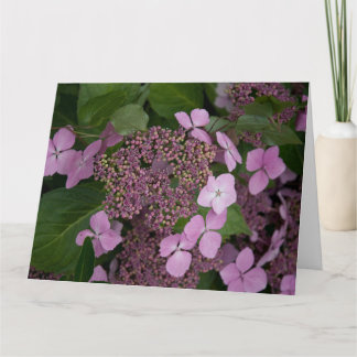Carte Hydrangea rose
