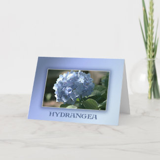 Carte Hydrangée bleue
