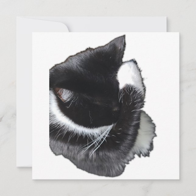 Carte I Can't Even Right Meow (Devant)