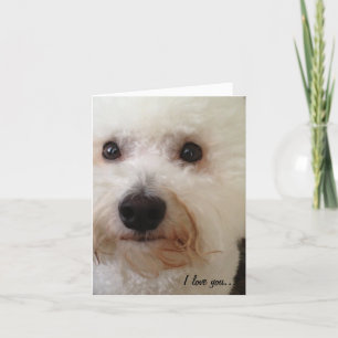 Carte "I Love You...More!"