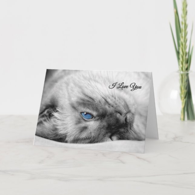 Carte I Love You Siamese Chat aux yeux bleus (Devant)