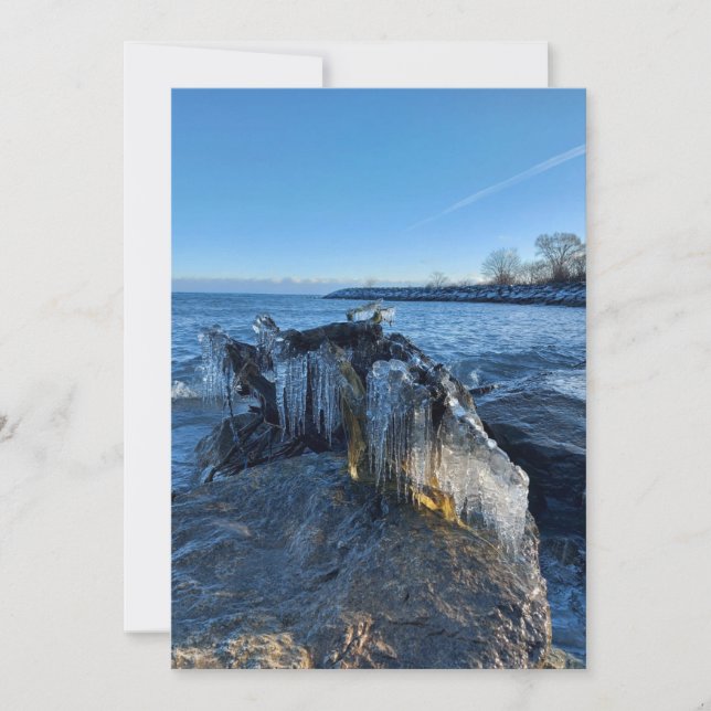 Carte Icicles du paysage gelé au bord du lac (Devant)