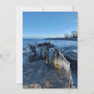 Carte Icicles du paysage gelé au bord du lac
