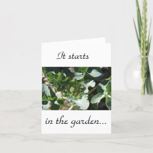 Carte Il commence dans le jardin