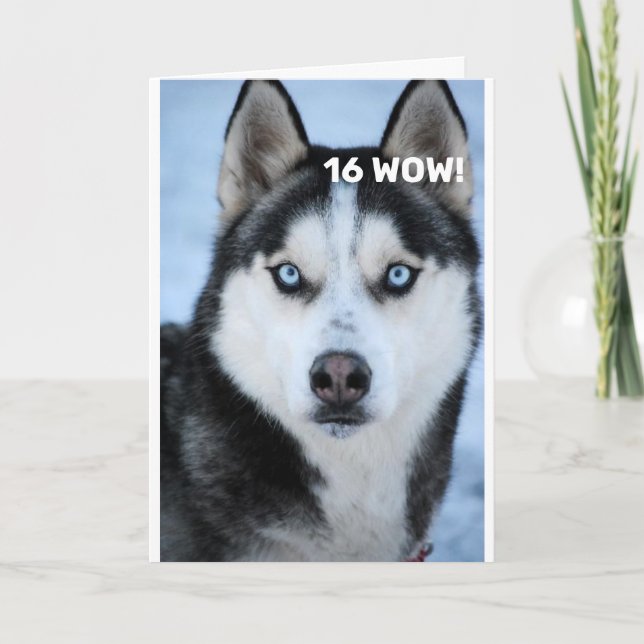 Carte IL DIT POURQUOI OH POURQUOI "16ème anniversaire" c (Devant)
