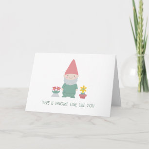 Carte Il y a Gnome One Like You Funny Punny Anniversaire