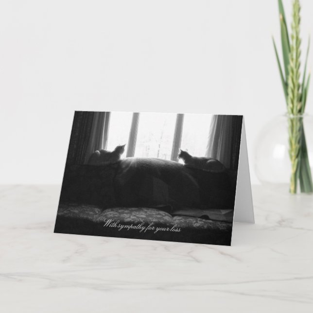 Carte Il y a quelque chose de mieux (Sympathie) (Devant)