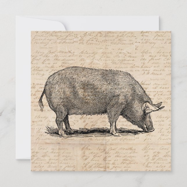 Carte Illustration de cochon Style de papier de script d (Devant)
