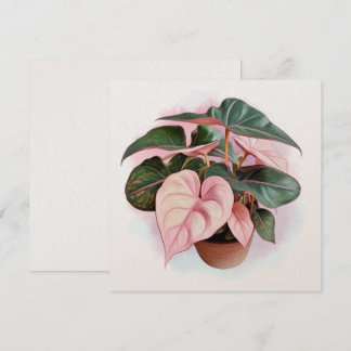 Carte Illustration de la princesse rose Philodendron