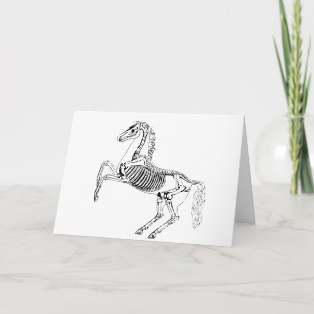 Carte Illustration de squelette de cheval victorien (Devant)