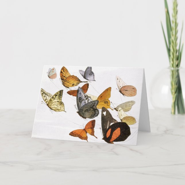 Carte Illustration des papillons vintages (Devant)