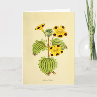 Carte Illustration florale vintage jaune et rouge