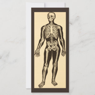 Carte Illustration médicale de squelette vintage à plat 