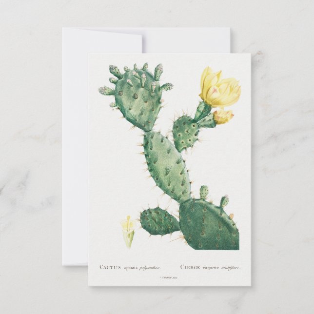 Carte Illustration plante vintage (Devant)