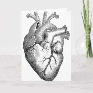 Carte Illustration simple du coeur de l'anatomie noire b