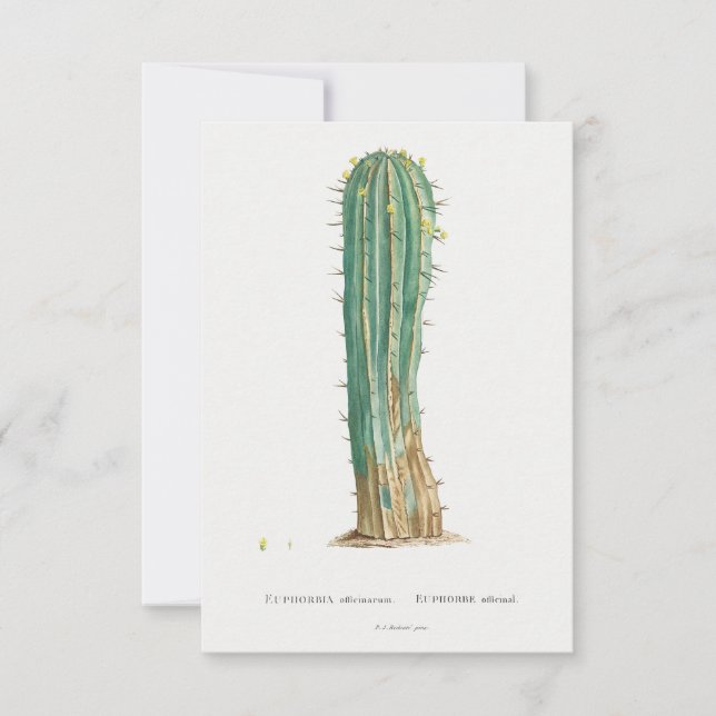 Carte Illustration vintage de Cactus plante (Devant)