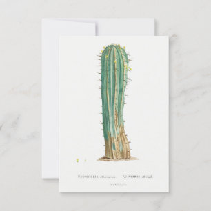 Carte Illustration vintage de Cactus plante