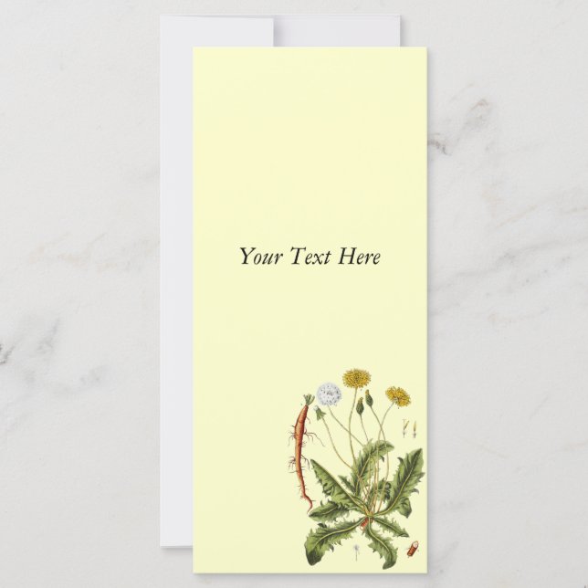 Carte Illustration vintage du Dandelion (Devant)