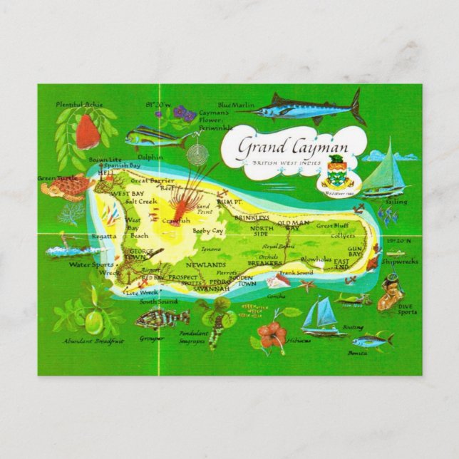 Carte illustrée de Grand Cayman (Devant)