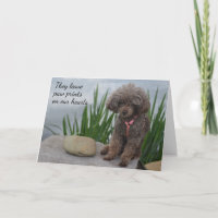 Ils Laissent Des Pawprints Sur Notre Coeur Sympath
