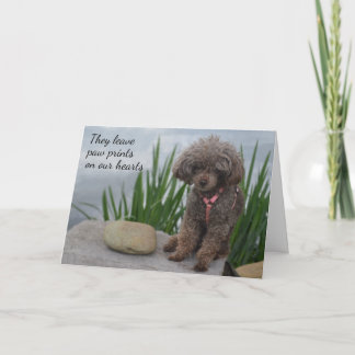 Carte Ils Laissent Des Pawprints Sur Notre Coeur Sympath