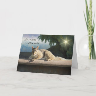 Carte I'm sorry for the way things were left - Apology