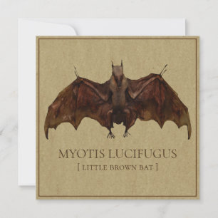 Carte Image de chauve-souris