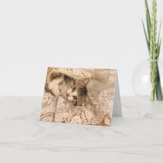 Carte IMG_4121_-_Marygold_-_cropped - 5x7 (Devant)