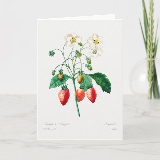 Carte Impression botanique de fraise (Devant)