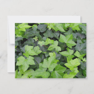 Carte Impression botanique verte Ivy