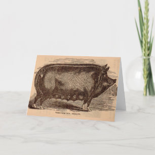 Carte Impression de porc du 19e siècle Berkshire semé no