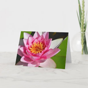 Carte Impression florale de nénuphar rose