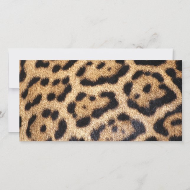 Carte Imprimer la photo de la fourrure Jaguar (Devant)