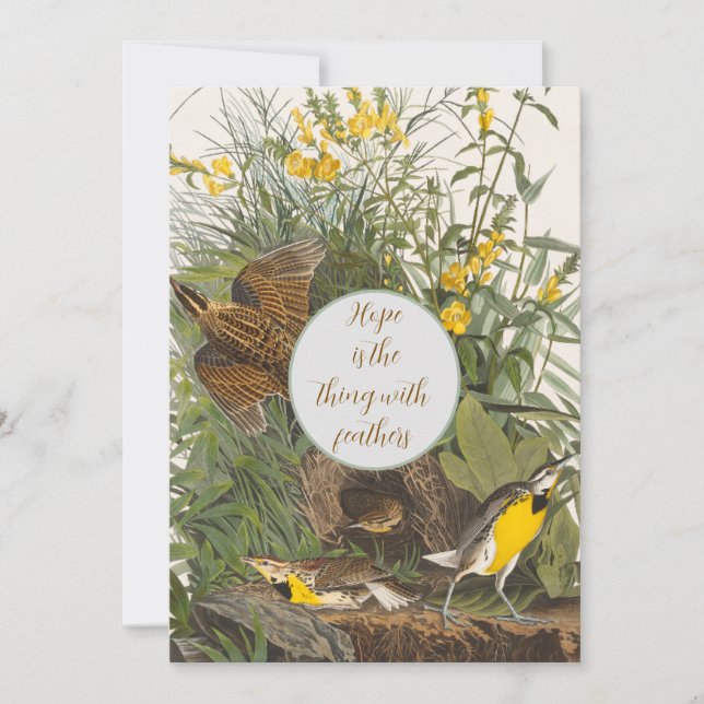 Carte Imprimer vintage Audubon Meadowlark (Devant)