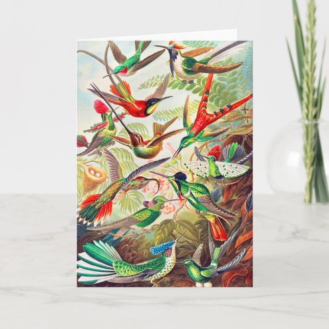 Carte Imprimerie de colibris 1904 (Devant)