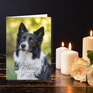 Carte In Memory Of Pet Memorial Sympathy Custom Photo