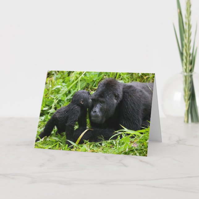 Carte Infant Mountain Gorilla Kisses Silverback (Devant)