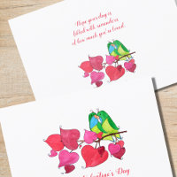 Inséparables en difficulté Saint-Valentin