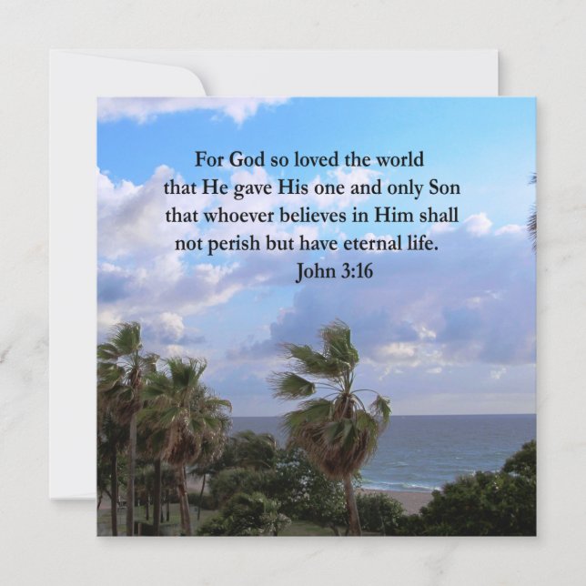 CARTE INSPIRANT JEAN 3:16 PHOTO (Devant)