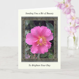 Carte Inspiration Get Well avec Camellia rose