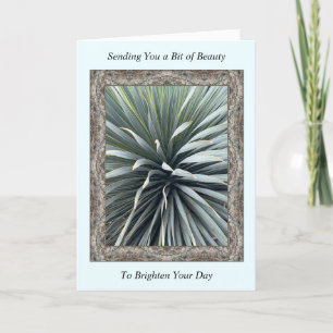 Carte Inspiration Get Well Card avec un Yucca étonnant