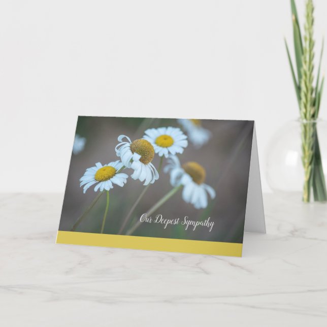Carte Intérieur Carte-Vide de sympathie de marguerite de (Devant)