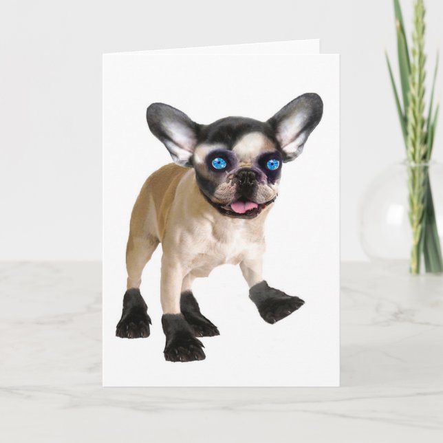 Carte intérieure blanche mignonne (Devant)