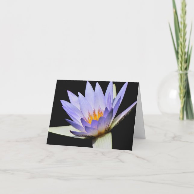 Carte intérieure vide #7 00700 (Devant)